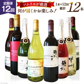 【ふるさと納税】 ワイン 定期便 12回 毎月 赤 白 赤ワイン 白ワイン スパークリング 飲み比べ セット マルスセレクト おまかせ ソムリエ 日本ワイン お酒 ぶどう 果実酒 ワインセット ギフト 送料無料 [本坊酒造 マルス穂坂ワイナリー 山梨県 韮崎市 20743307]