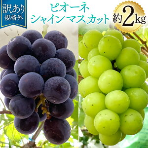 yӂ邳Ɣ[Łz y2025Nz󂠂 Ԃǂ R sI[l VC}XJbg VC Zbg lߍ킹 2kg KiO RY Yn uhE  2L ƒp Hה  