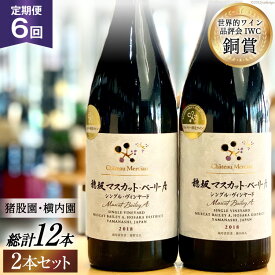 【ふるさと納税】 ワイン 山梨 定期便 6回 飲み比べ 詰め合わせ ワインセット セット 穂坂マスカット・ベーリーA シングル・ヴィンヤード 750ml 2種 6回 酒 ワイン 赤ワイン [シャトー・メルシャン 勝沼ワイナリー 山梨県 韮崎市 20743313]