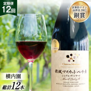 yӂ邳Ɣ[Łz C R  ԃC  }XJbgEx[[A VOEB[h ͔|ӔC hl 750ml × 12  ̓ ̓ LO Mtg  [Vg[