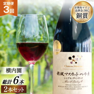 yӂ邳Ɣ[Łz C R  ԃC  }XJbgEx[[A VOEB[h ͔|ӔC hl 750ml 2{ × 3  ̓ ̓ LO Mtg  [Vg