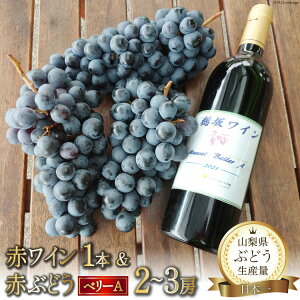 yӂ邳Ɣ[Łz y2025Nz C R Y ԃC 750ml × 1{  ԂԂǂ x[[A 2`3[  C t[c ʕ  uhE ԃC RY Yn Ԍ Gߌ 