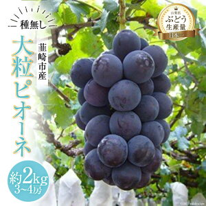 yӂ邳Ɣ[Łz y2025Nz Ԃǂ R 嗱sI[l 햳 Ȃ  2kg 2L sI[l Ԃǂ uhE  嗱 t[c ʕ 2L RY Yn Ԍ Gߌ ① [t
