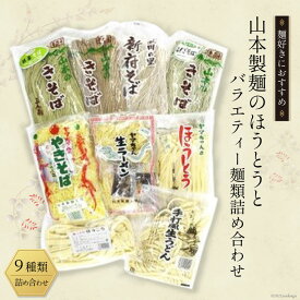 【ふるさと納税】 33-2.山本製麺のほうとうとバラエティー麺類詰め合わせ [山本製麺所 山梨県 韮崎市 20743335] 甲州名物 郷土料理 ほうとう そば うどん やきそば ラーメン 詰合せ セット