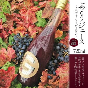 yӂ邳Ɣ[Łz ԂǂW[X W[X100% ԃC Jxl 720ml ʏ`W[X ʏ` ؈ t[cW[X Xg[gW[X hN Ԃǂ uhE  Y Mtg 