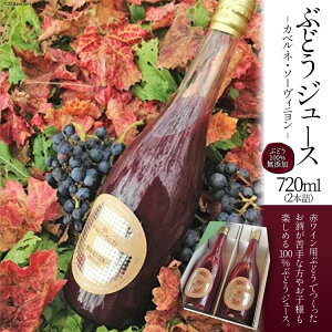 yӂ邳Ɣ[Łz ԂǂW[X W[X100% ԃC Jxl 720ml 2{ʏ`W[X ʏ` ؈ t[cW[X Xg[gW[X hN Ԃǂ uhE  Y Mt