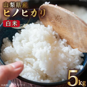 yӂ邳Ɣ[Łz yԌ蔭z  ߘa7NY qmqJ 5kg [听_[ R Bs 20743081]    R  ͂   Ђ̂Ђ 5L ߘa7N ƒp Y Ԍ