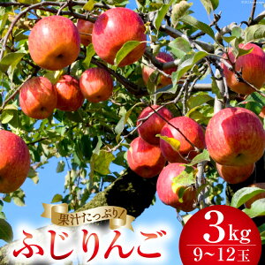 yӂ邳Ɣ[Łz y2025Nz y ʌ z  ӂ 3kg (9`12) [񂲉 R Bs 20742156] ʕ t[c  ʎ fU[g S ь 3L { R RY 