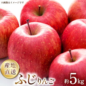 yӂ邳Ɣ[Łz y2025Nz ӂ  5kg i16`20ʁj [OY_ R Bs 20743076] t[c ʕ S ь tW 5L ʎ  Â fU[g ʌ Gߌ 