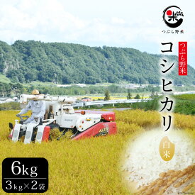 【ふるさと納税】米 令和5年 つぶら野米 コシヒカリ 白米 3kg×2袋 計6kg / つぶら野米 / 山梨県 韮崎市 [20741634] こめ コメ お米 精米 こしひかり