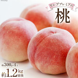 yӂ邳Ɣ[Łz y2026Nz R Zu v~A   300g 4 1.2kg O BsY   t[c ʕ RY Yn Ԍ Gߌ ①[Inakakara R Bs 20743