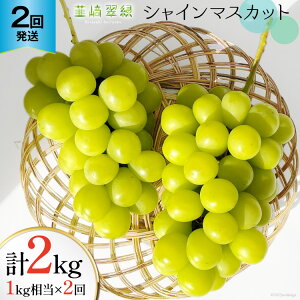 yӂ邳Ɣ[Łz y2026N  zy2񔭑zVC}XJbg \ 1kg × 2 v 2kg VC R ܂Ȃ t[c ʕ  Ԃǂ uhE  Ȃ RY 