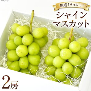 yӂ邳Ɣ[Łz y2026NzԂǂ VC}XJbg \  500g 2[ v 1kg R BsY t[c ʕ uhE  RY Yn Ԍ Gߌ ① [Inakakara R B