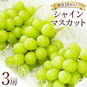 yӂ邳Ɣ[Łz y2026NzԂǂ VC}XJbg \  500g 3[ v 1.5kg R BsY t[c ʕ uhE  RY Yn Ԍ Gߌ ①[Inakakara R B