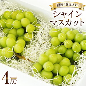 yӂ邳Ɣ[Łz y2026NzԂǂ VC}XJbg \ 500g 4[ v 2kg R BsY t[c ʕ uhE  RY Yn Ԍ Gߌ ① [Inakakara R B