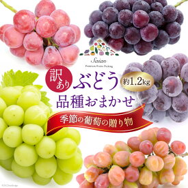 【ふるさと納税】 【2026年発送】ぶどう 訳あり 約 1.2kg 食べ比べ 山梨 やまなし ブドウ 季節 葡萄 贈り物 品種 おまかせ フルーツ 果物 くだもの 山梨県産 期間限定 季節限定 冷蔵 [斎庵 山梨県 韮崎市 20745283]