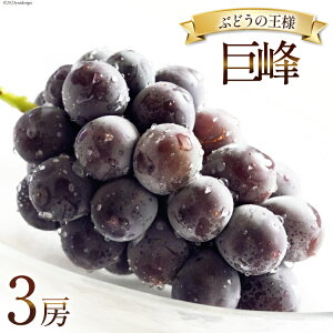 yӂ邳Ɣ[Łzy2026NzԂǂ st   450g 3[ v 1.35kg O R R BsY t[c ʕ uhE  RY Yn Ԍ Gߌ ① [Inakakara R B