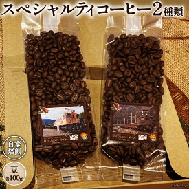 【ふるさと納税】 コーヒー EF15 スペシャルティコーヒー 豆 100g×2種類 計200g [アフターゲームカフェ 八ヶ岳珈琲 山梨県 韮崎市 20743537] 珈琲 コーヒー豆 珈琲豆 自家焙煎 焙煎 セット