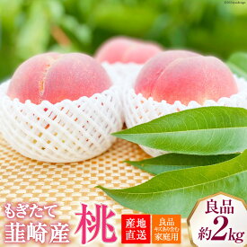 【ふるさと納税】【先行受付】訳あり 家庭用 桃 良品 約2kg（4～6玉） もぎたて 産地直送 [韮崎市桃農家の産直 山梨県 韮崎市20742298] もも 桃 モモ フルーツ 果物 山梨県産 期間限定 季節限定