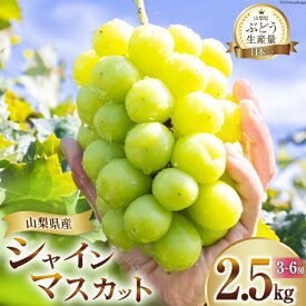 【ふるさと納税】 【2026年発送】 シャインマスカット 予約 山梨 マスカット シャイン ブドウ ぶどう 葡萄 種無し 2.5kg 3～ 6房 朝採れ 朝どれ 山梨県産 フルーツ 果物 2.5キロ 高品質 厳選 産地直送 季節限定 数量限定 [OUTTA REACH JAPAN 山梨県 韮崎市 20742861]
