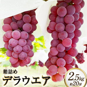 【ふるさと納税】 【2026年発送】 ぶどう 山梨 デラウエア 種なし 箱詰め 2.5kg 約 20房 ブドウ 葡萄 2.5キロ 大容量 果物 フルーツ くだもの 山梨県産 産地直送 期間限定 季節限定 送料無料 [太陽