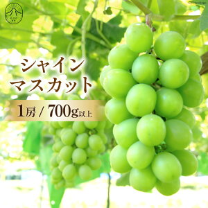 yӂ邳Ɣ[Łz y2025NzyL͂zVC}XJbg1[ 700gȏ [̂_ R Bs 20742917] }XJbg VC}XJbg ʕ t[c  Ԃǂ uhE 