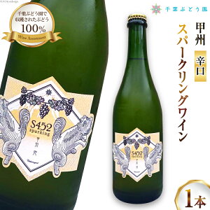 yӂ邳Ɣ[Łz C R S452 bB A Xp[NO   bBC  h Xp[NOC 750ml ʎ ӎ ̓ ̓ LO Mtg  [tԂǂ R