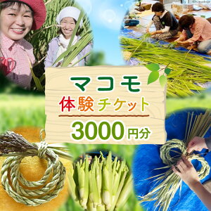 yӂ邳Ɣ[Łz }Ř`Pbgi3,000~jcA n }R ď [}R_񂳂 R Bs 20742712] ̌ qǂ q ܂ ^ }R ^Ԓ ܂ }