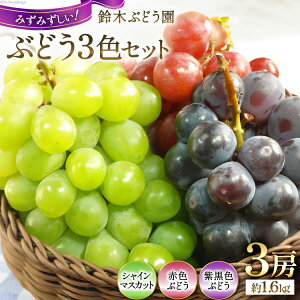 yӂ邳Ɣ[Łz y2026Nz Ԃǂ s\ R ܂Ȃ uhE  ؂Ԃǂ̂Ԃǂ3FZbg 3[  1.6kg 1.6L Hה t[c ʕ Ԍ Gߌ VC}XJ