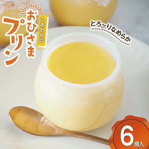 yӂ邳Ɣ[Łz v 킹̂Ђ܃v6 (120g/1) [َqH[Ђ R Bs 20743784] Ղ XC[c َq  fU[g mَq