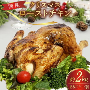 yӂ邳Ɣ[Łz Ԍ聚YNX}X[Xg`LHi2kgj [R{HL R Bs 20743800] [Xg`L `L NX}X ی{ Ⓚ NX}X`L p