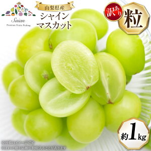 yӂ邳Ɣ[Łz VC}XJbg 2025 󂠂 R ƒp  ɂĂ͂ 1kg 1L ʕ t[c Ԃǂ }XJbg uhE  ƒp KiO Ԍ Gߌ ①  R