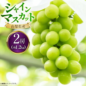 yӂ邳Ɣ[Łz yԌ蔭z VC}XJbg 2025 \ 2[ 1.2kg VC }XJbg R RY VC }XJbg t[c ʕ  Ԃǂ  uhE Y [