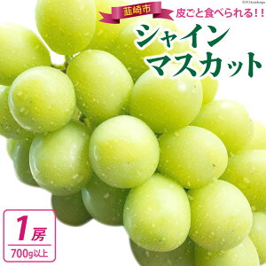 yӂ邳Ɣ[Łz yԌ蔭zynIoׁIz VC}XJbg 2026 \ ǂ 1[ 700g ȏVC }XJbg R RY Ԃǂ uhE  R t[c ʕ 