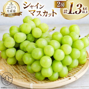 yӂ邳Ɣ[Łz yԌ蔭zyL͂z VC}XJbg 2[ v1.3kgȏ [̂_ R Bs 20743054] }XJbg VC}XJbg ʕ t[c  Ԃǂ 