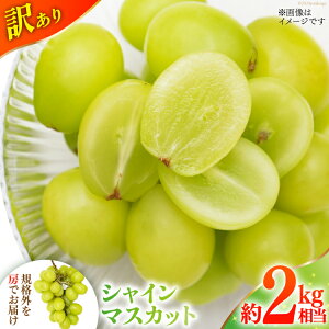 yӂ邳Ɣ[Łz yԌ蔭z VC}XJbg 󂠂 ƒp RY SDGs 2kg 2L VC }XJbg uhE  Ԃǂ t[c ʕ   NS-1005 [B萉 