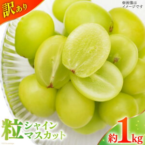 yӂ邳Ɣ[Łz yԌ蔭z VC}XJbg 󂠂 ƒp RY SDGs 1kg 1L VC }XJbg uhE  Ԃǂ t[c ʕ   NS-1004 [B萉 
