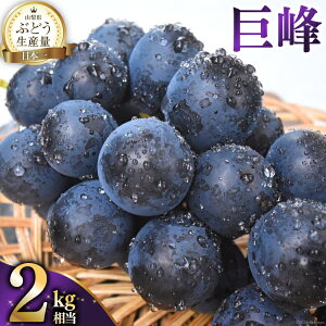 yӂ邳Ɣ[Łz y2026NẑȂ Ԃǂst   2kg 2L R ܂Ȃ RY Ԃǂ uhE  t[c ʕ  NS-1003 [B萉 R Bs 20743062]