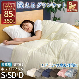 【ふるさと納税】 羽毛布団 洗える 掛け布団 布団 寝具 夏用 【選べるサイズ・色】 春用 シングル セミダブル ダブル ダウンケット 肌掛け布団 日本製 ふとん 羽毛 肌掛け ベッド 掛け 軽量 [川村羽毛 山梨県 韮崎市 20743064]
