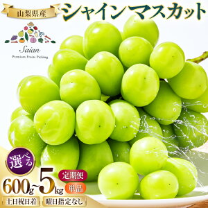 yӂ邳Ɣ[Łz y2025Nz VC}XJbg R Iׂy 600g`5kg  600g 700g 1.2kg 2kg 2L  t[c ʕ  }XJbg VC R Ԃǂ uhE  