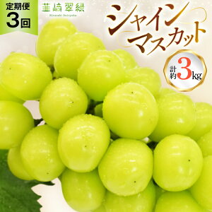 yӂ邳Ɣ[Łz y2026NIs\IzB萉΃ZNgIVC}XJbg 1.0kg×3 NS-1020 [B萉 R Bs 20744987] VC}XJbg VC }XJbg Ԃ