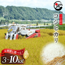【ふるさと納税】 米 令和8年産 コシヒカリ つぶら野米 3kg 5kg 6kg 10kg 白米 精米 定期便 選べる お米 米 8年産 3ヶ月 6ヶ月 こしひかり 定期 こめ コメ おこめ 3キロ 5キロ 6キロ 10キロ [つぶら野米 山梨県 韮崎市 20745134]