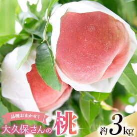 【ふるさと納税】 【2026年発送】桃 もも モモ 大久保さんの桃 約3.0kgフルーツ 果物 くだもの 3キロ 山梨県産 産地直送 季節限定 期間限定 農園 直送 新府の桃 山梨 山梨県産 [大久保桃園 山梨県 韮崎市 20745243]