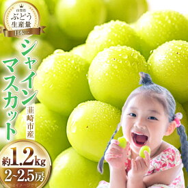 【ふるさと納税】 【2026年発送】先行予約 ぶどう シャインマスカット 約1.2kg (2〜2.5房) 【冷蔵発送】 フルーツ 果物 くだもの ブドウ 葡萄 種なし 1.2キロ 甘い 期間限定 季節限定 JA 厳選 山梨県産 令和8年 8月下旬から [梨北農業協同組合 山梨県 韮崎市 20742921]