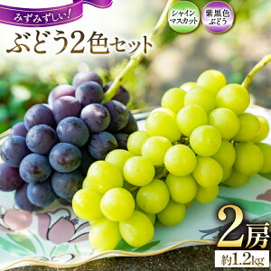 yӂ邳Ɣ[Łz yԌ蔭zԂǂ s\ Ԃǂ Hה 2FZbg VC}XJbg \  or sI[l v 2[  1.2kg R ܂Ȃ RY uhE  t[c ʕ 