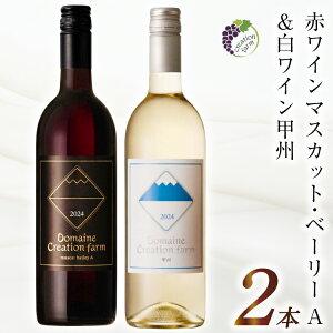 【ふるさと納税】 ワイン 飲み比べ ワインセット 赤 白 赤ワイン マスカット・ベーリーA & 白ワイン 甲州 各 750ml 計 2本 ワイン 果実酒 ぶどう ブドウ マスカット 山梨 国産 酒 パーティー 赤