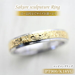 yӂ邳Ɣ[Łz w v`i PT900 K18YG CG[S[h Rr 15`22 Y O  蒤蒤 18 }bWO a ANZT[ WG[ ANZ y239-ptygmz [I[_[