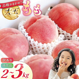 【ふるさと納税】 【2026年発送】 桃 もも 通常品 訳あり 大玉 5〜6玉 約2kg 大玉8〜10玉 約3kg 桃 モモ 果物 フルーツ くだもの 果実 朝どれ 旬 季節限定 期間限定 数量限定 冷蔵 [斉藤農園 山梨県 韮崎市 20745198]