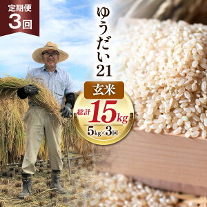 yӂ邳Ɣ[Łz y3 ցz ߘa7NY  䂤21 5kg×3 v15kg [䑫_ R Bs 20745229]    ͂  R  15L