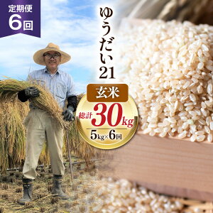yӂ邳Ɣ[Łz 6   ߘa7NY  䂤21 5kg×6 v30kg [䑫_ R Bs 20745231]  R  ͂ RY